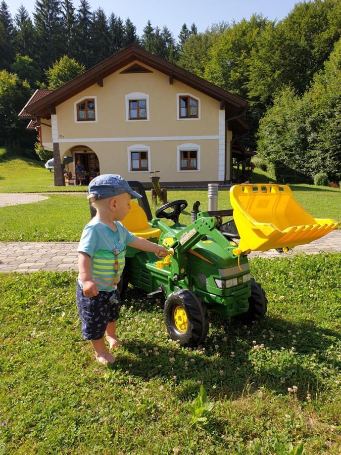 Ferienparadies Truppe Velden am Wörthersee Eksteriør bilde